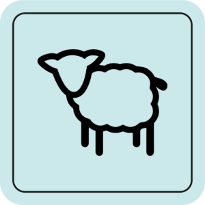 LAMB